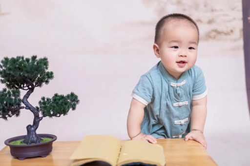 陆丰可爱的企鹅宝宝